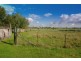 88 Satur Road, Scone NSW 2337