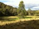 Combedello Pages River Road, Murrurundi NSW 2338
