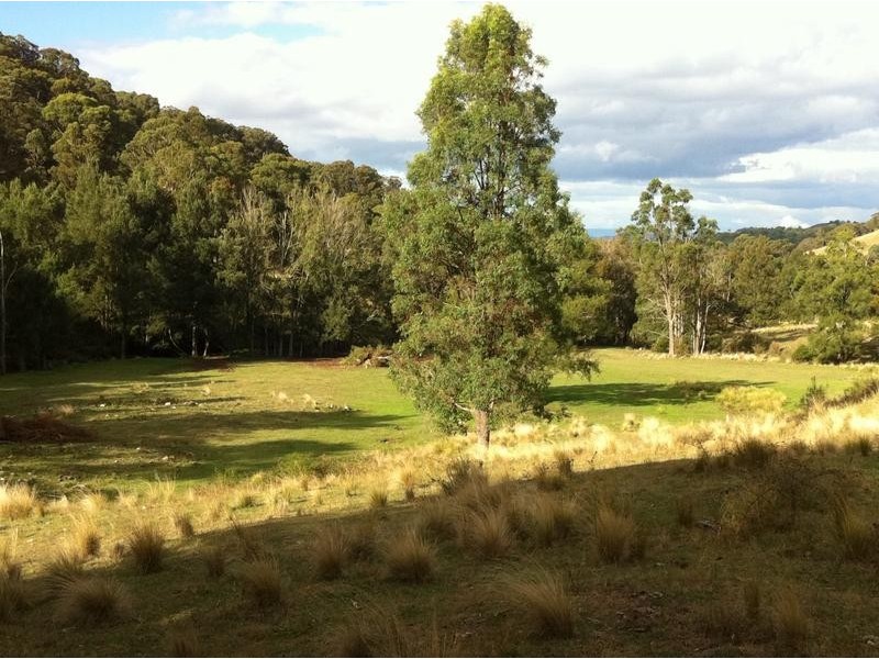 Combedello Pages River Road, Murrurundi NSW 2338