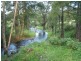 Combedello Pages River Road, Murrurundi NSW 2338