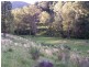 Combedello Pages River Road, Murrurundi NSW 2338