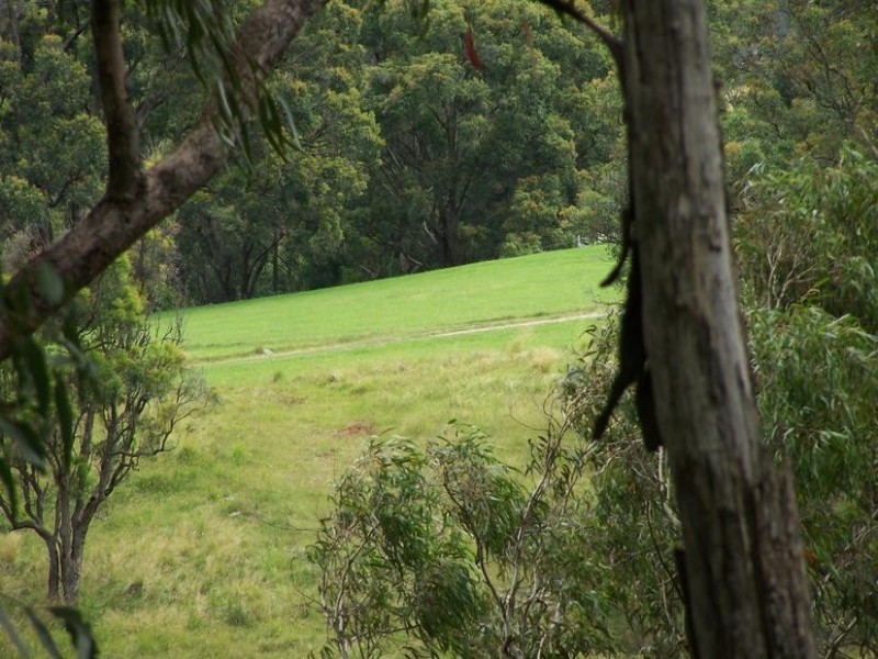 Combedello Pages River Road, Murrurundi NSW 2338