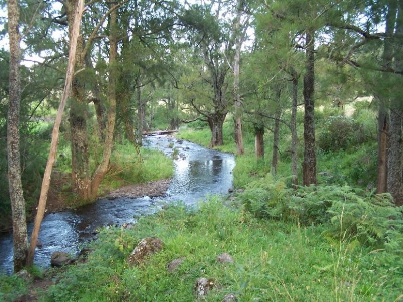 Combedello Pages River Road, Murrurundi NSW 2338