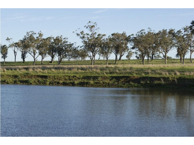 36/56 Yarrandi Road, Scone NSW 2337