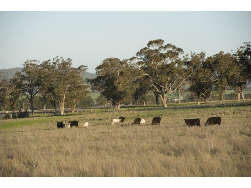 36/56 Yarrandi Road, Scone NSW 2337