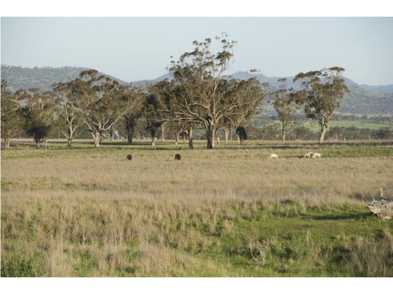 36/56 Yarrandi Road, Scone NSW 2337