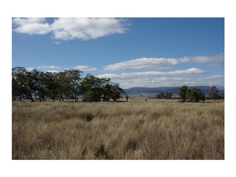 38 Moobi Road, Scone NSW 2337