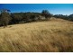 . Middlebrook Road, Scone NSW 2337