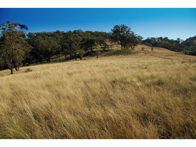 . Middlebrook Road, Scone NSW 2337