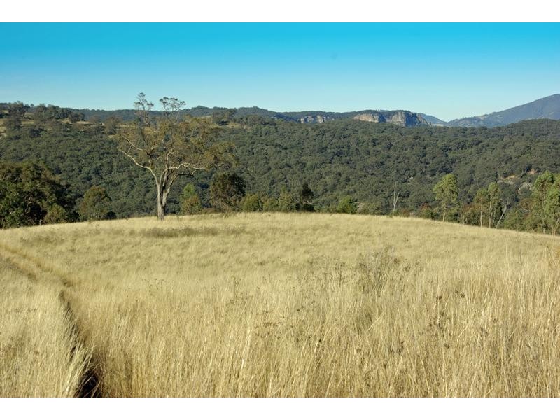 . Middlebrook Road, Scone NSW 2337