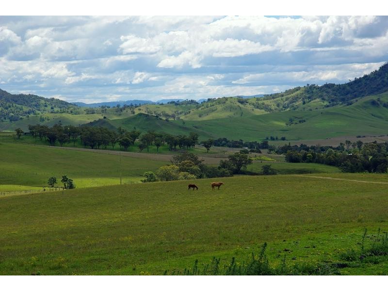 . Summer Hill Dolahenty’s Branch Road, McCully’s Gap via, Aberdeen NSW 2336