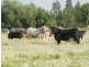 “Mundurra” 36 Blairmore Lane, Aberdeen NSW 2336