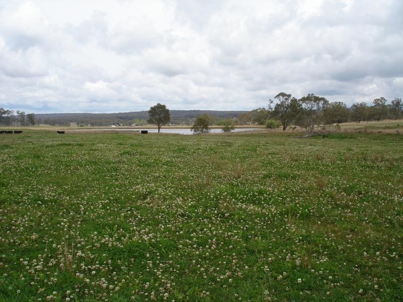 . Marlborough Downs, Wylie Creek Road, Maryland NSW 2287