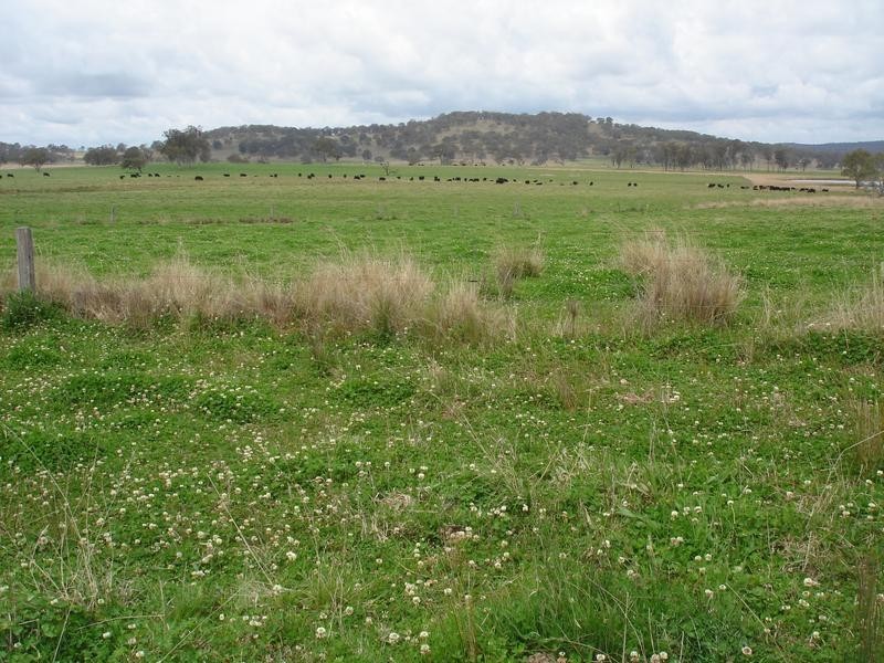 . Marlborough Downs, Wylie Creek Road, Maryland NSW 2287