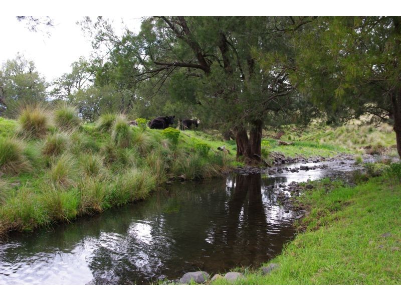 . Singles Creek 543 Pages River Road, Murrurundi NSW 2338