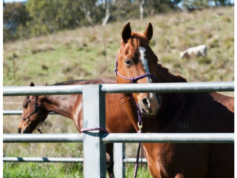 . Singles Creek 543 Pages River Road, Murrurundi NSW 2338