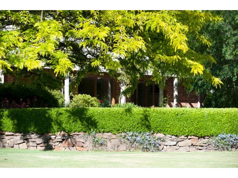 . Singles Creek 543 Pages River Road, Murrurundi NSW 2338