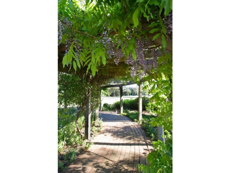 . Singles Creek 543 Pages River Road, Murrurundi NSW 2338