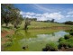 . Singles Creek 543 Pages River Road, Murrurundi NSW 2338