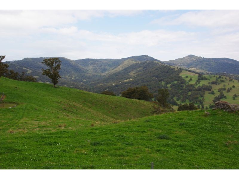 . Singles Creek 543 Pages River Road, Murrurundi NSW 2338