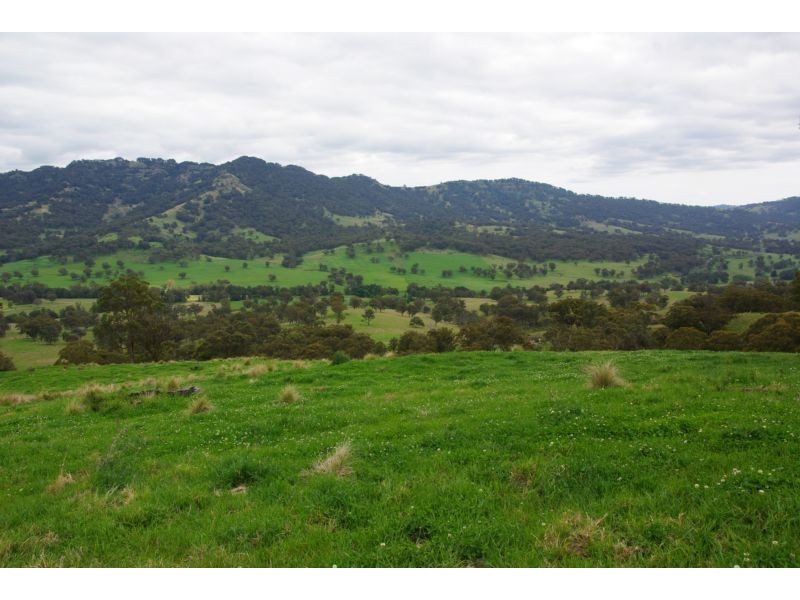 . Singles Creek 543 Pages River Road, Murrurundi NSW 2338