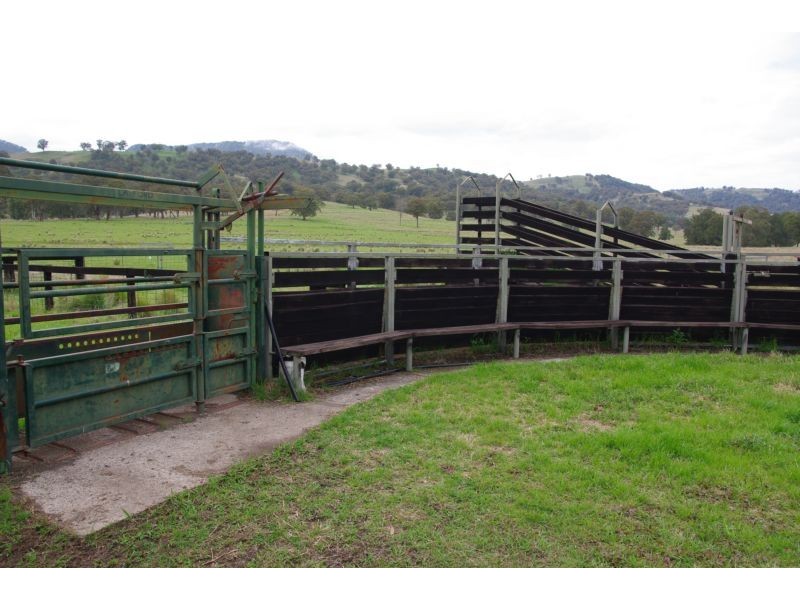 . Singles Creek 543 Pages River Road, Murrurundi NSW 2338