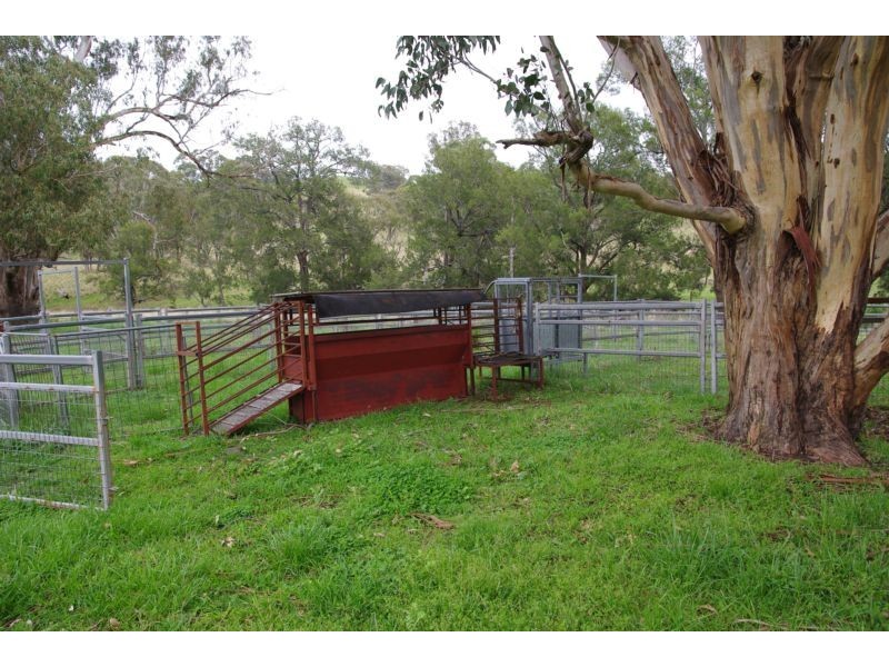 . Singles Creek 543 Pages River Road, Murrurundi NSW 2338