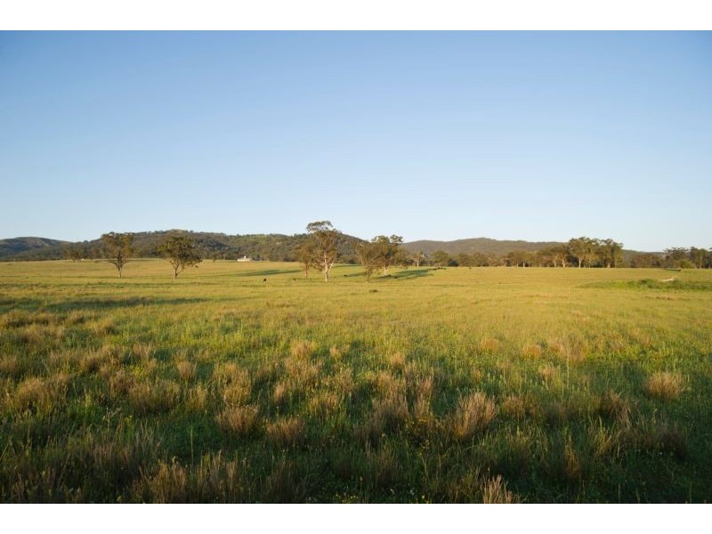 331 Yarrandi Road, Scone NSW 2337