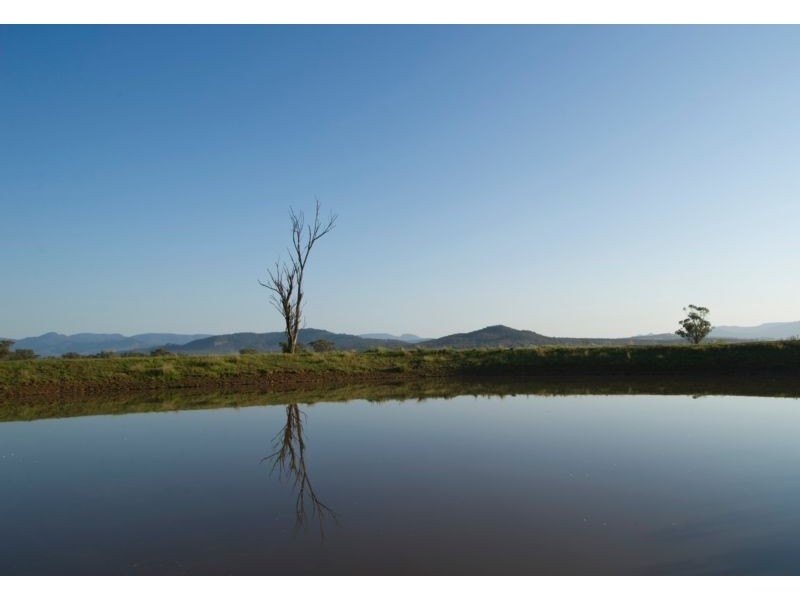 331 Yarrandi Road, Scone NSW 2337