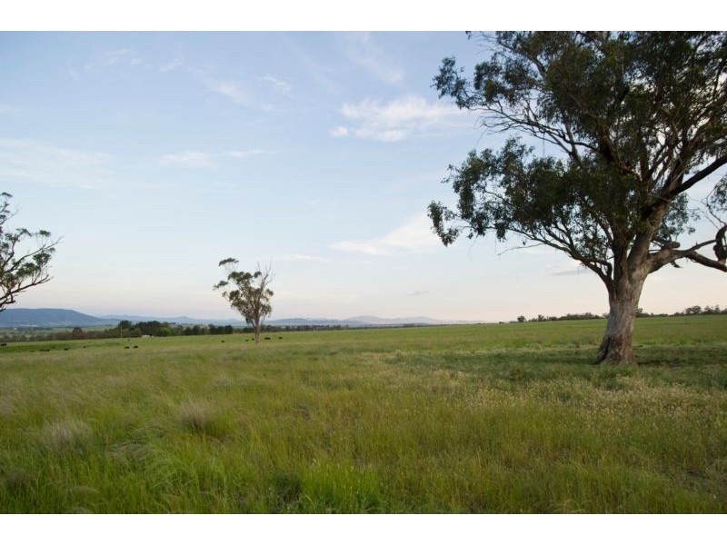 331 Yarrandi Road, Scone NSW 2337