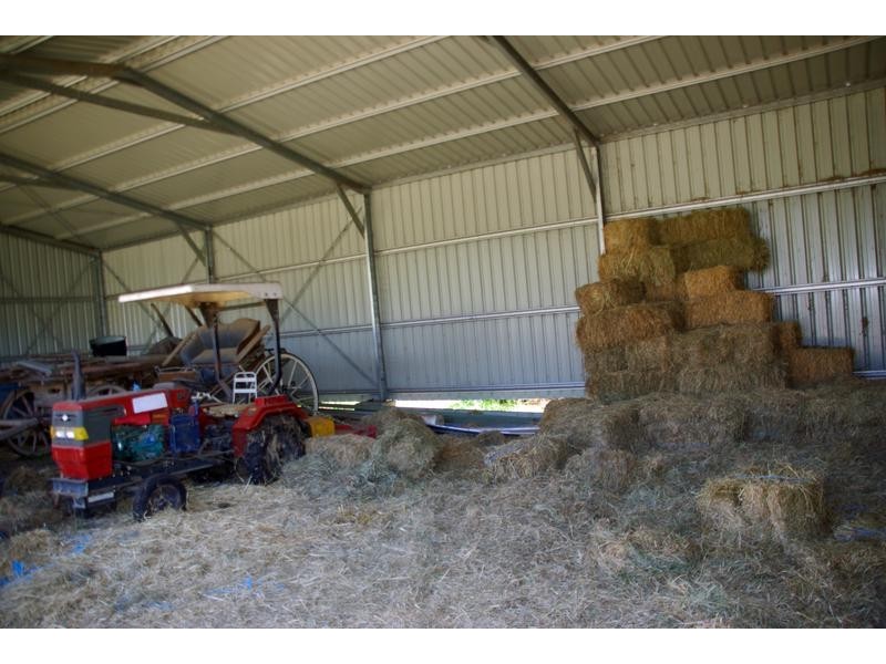 21 Finch Street, Blandford NSW 2338