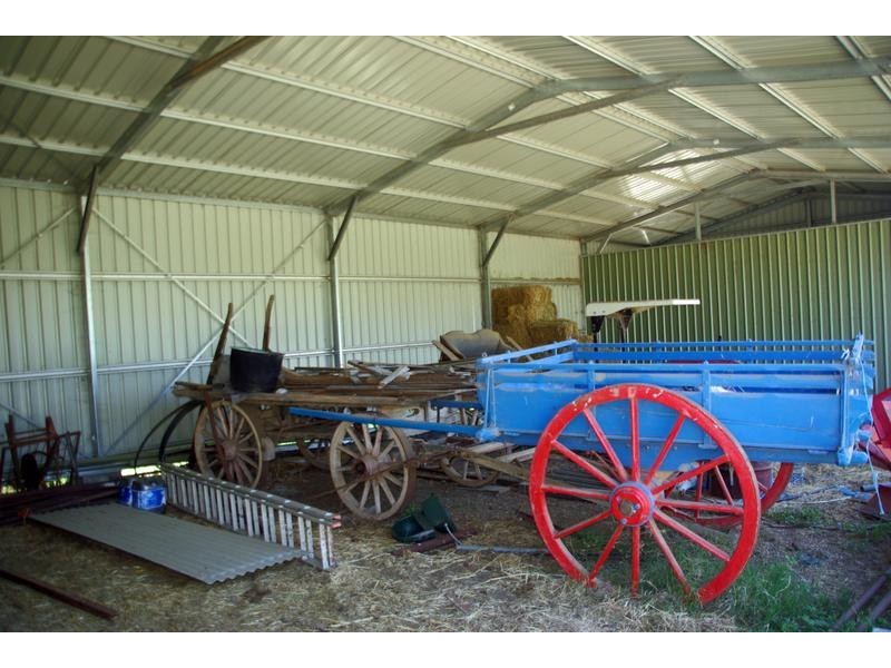 21 Finch Street, Blandford NSW 2338