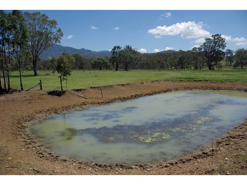 21 Finch Street, Blandford NSW 2338