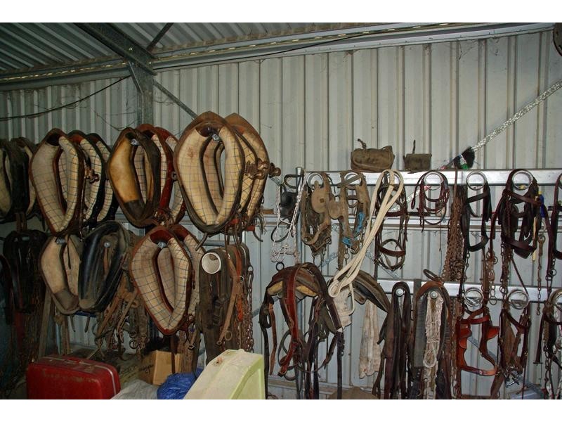 21 Finch Street, Blandford NSW 2338