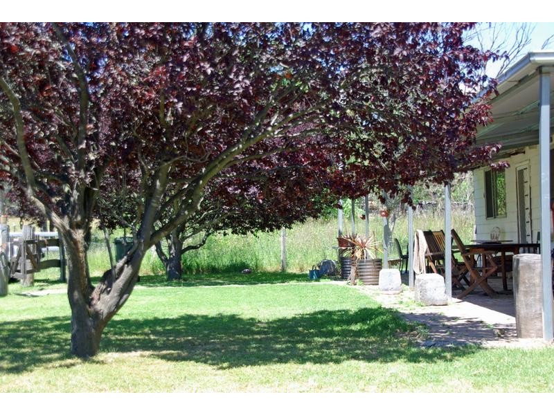 21 Finch Street, Blandford NSW 2338