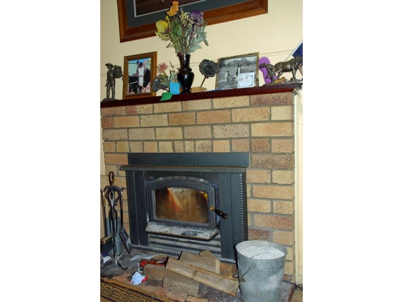 21 Finch Street, Blandford NSW 2338