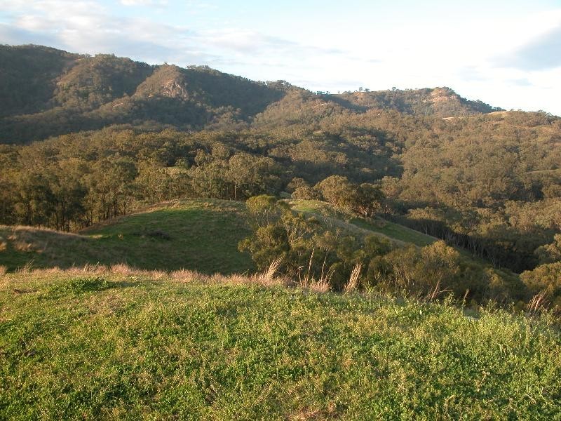 . Black Mountain, Scone NSW 2337