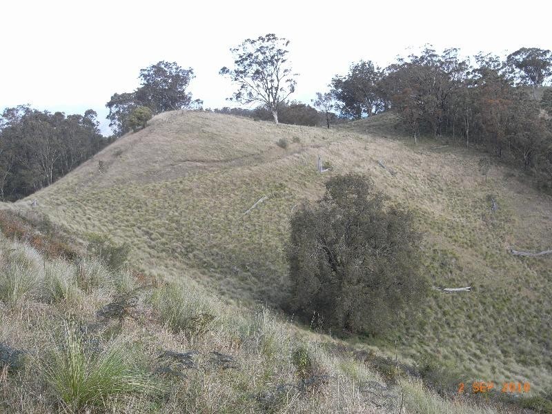 . Black Mountain, Scone NSW 2337