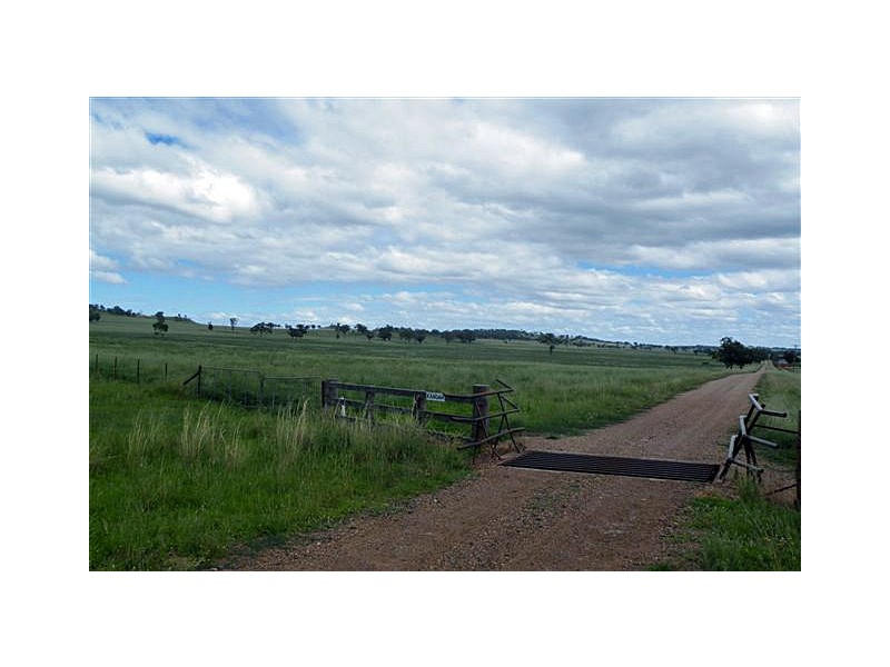 Kangah Warrah Subdivision Road, Willow Tree NSW 2339