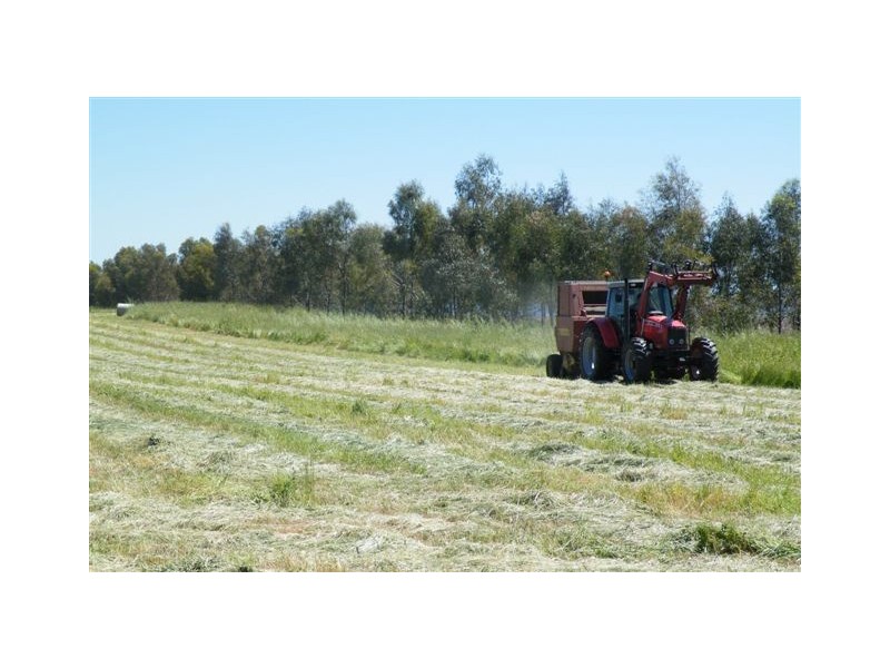 Kangah Warrah Subdivision Road, Willow Tree NSW 2339