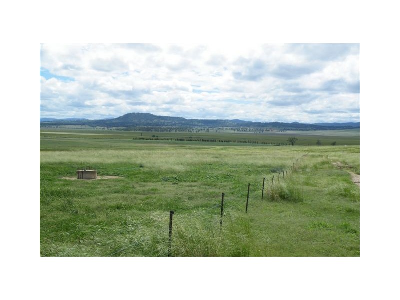 Kangah Warrah Subdivision Road, Willow Tree NSW 2339