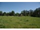 31 Vernon Street, Wingen NSW 2337