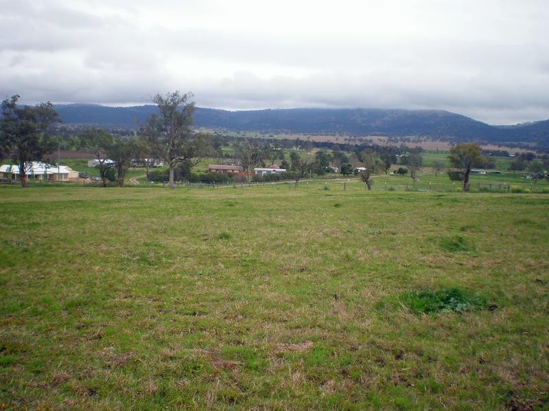 144 Allan Cunningham Road, Scone NSW 2337