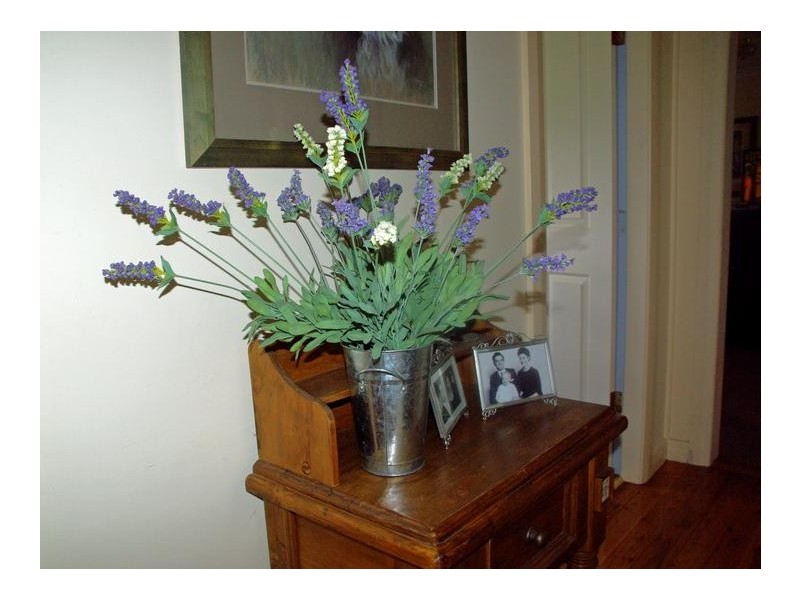 22 Segenhoe Road, Scone NSW 2337