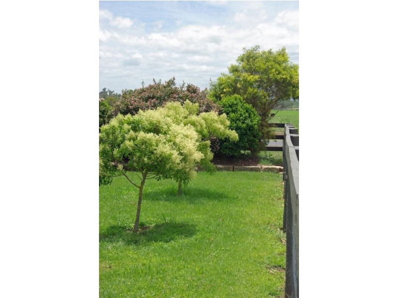 22 Segenhoe Road, Scone NSW 2337