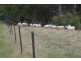 1788 Stewarts Brook Rd, Stewarts Brook NSW 2337