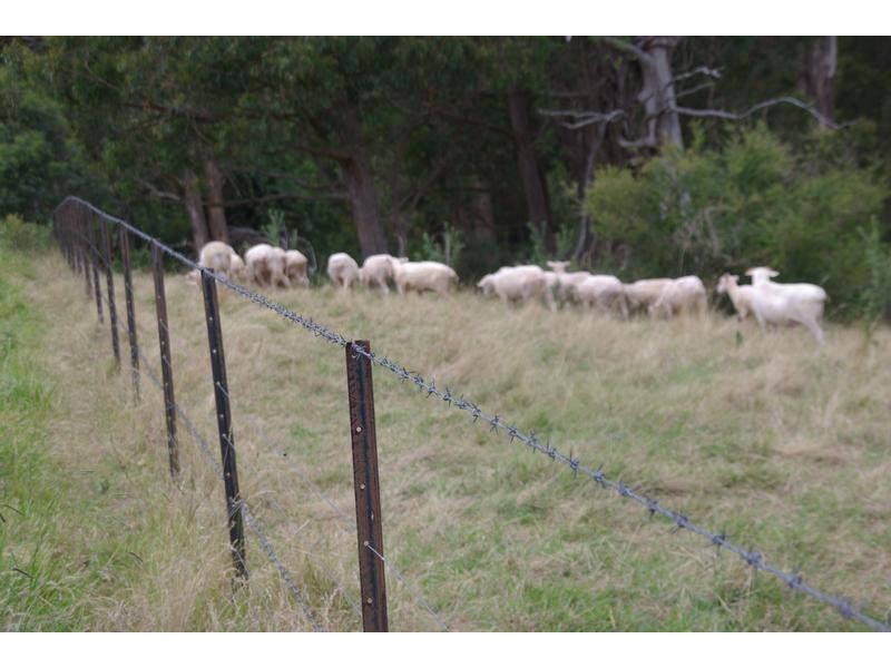1788 Stewarts Brook Rd, Stewarts Brook NSW 2337