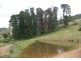 1788 Stewarts Brook Rd, Stewarts Brook NSW 2337