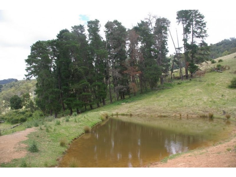 1788 Stewarts Brook Rd, Stewarts Brook NSW 2337