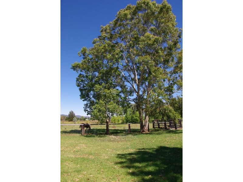 61 Aberdeen Street, Scone NSW 2337